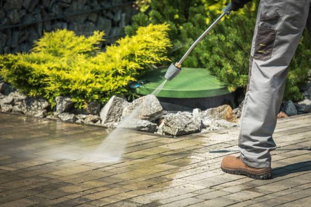 Best Gutter Cleaning  in Merkel, TX