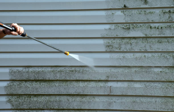 Best Solar Panel Cleaning  in Merkel, TX